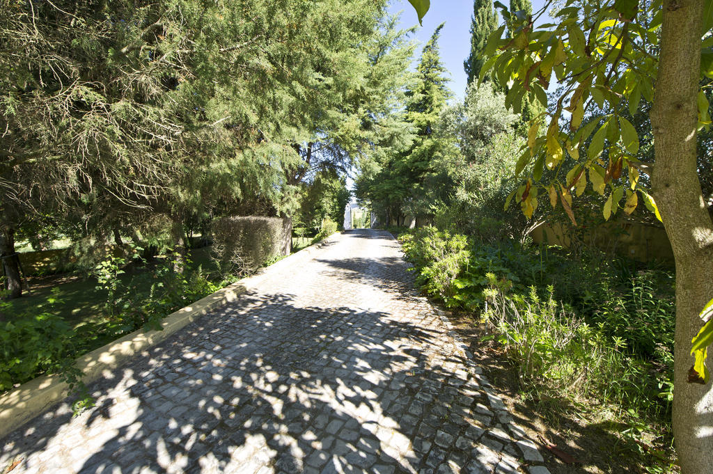 Quinta Da Cabrita Villa Santarém Kültér fotó